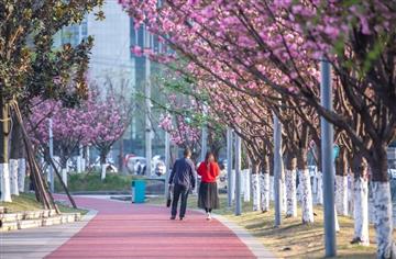 解碼公園城市|踏著綠道逛回家，讓回家的路更有溫度！